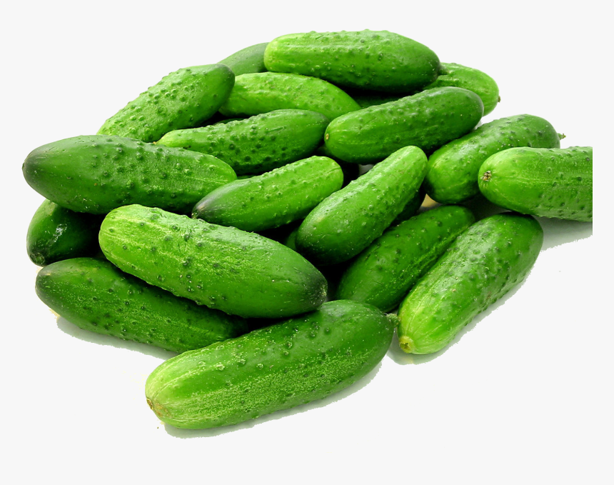 Fresh Cucumber (Kheera) 1KG