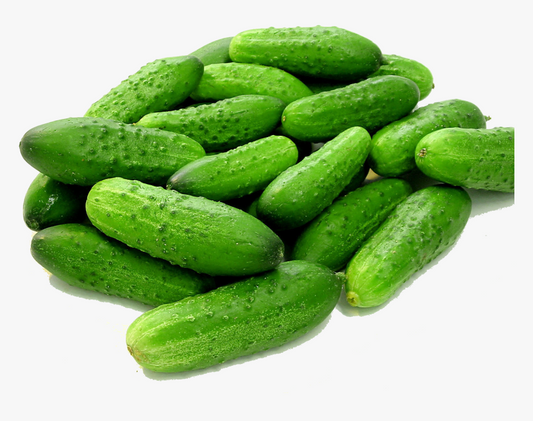 Fresh Cucumber (Kheera) 1KG